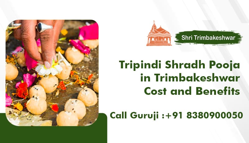 Tripindi Shradh Pooja in Trimbakeshwar Cost and Benefits  
