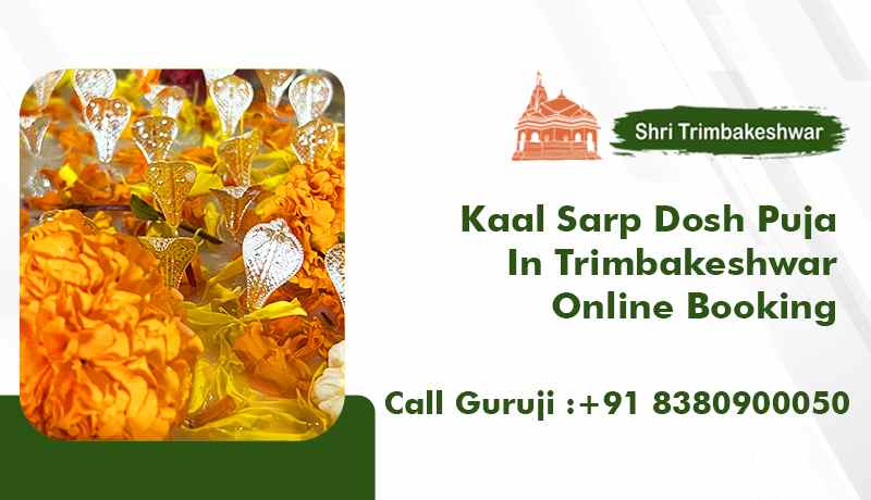 Kaal Sarp Dosh Puja In Trimbakeshwar Online Booking