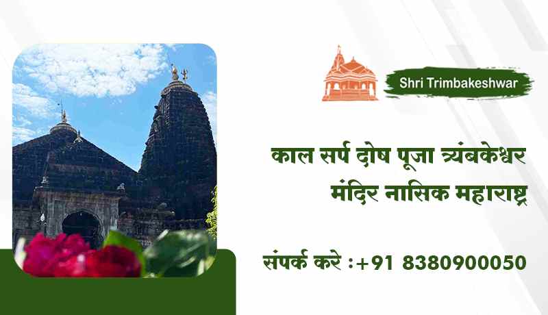 काल सर्प दोष पूजा त्र्यंबकेश्वर मंदिर नासिक महाराष्ट्र